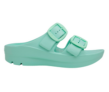 Load image into Gallery viewer, Seafoam Green Boise Bliss